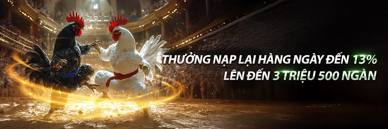Banner khuyến mãi cá cược thể thao shbet50 nổ hũ